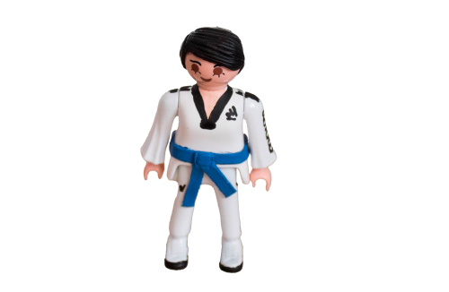 Playmobil 29